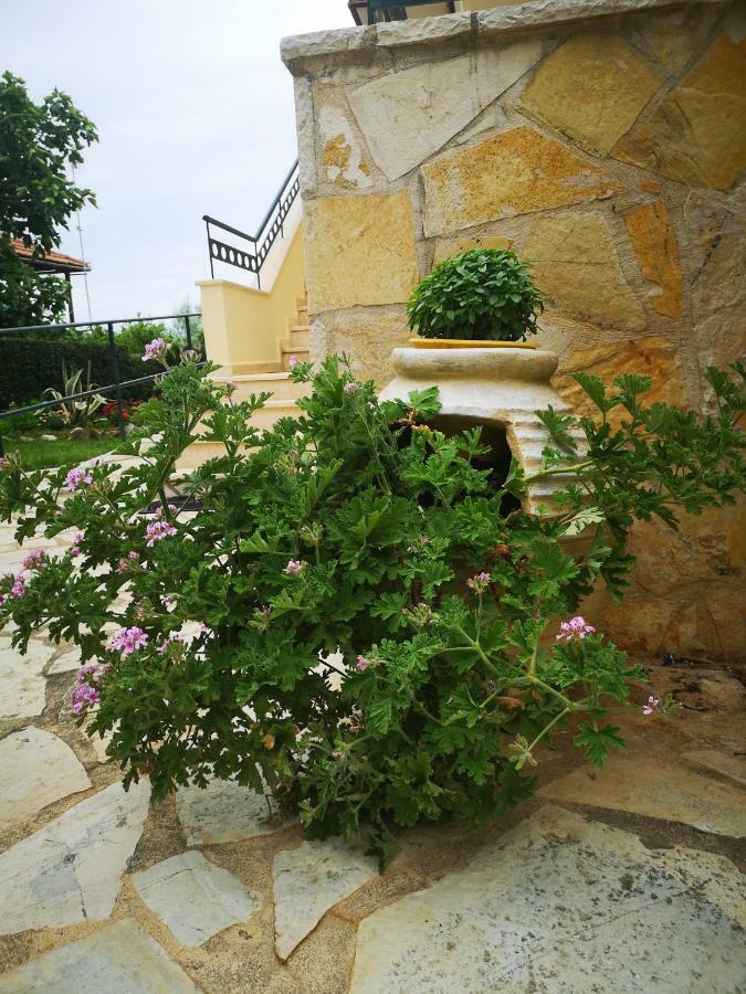 Hotel Patelis Poulithra Exterior photo